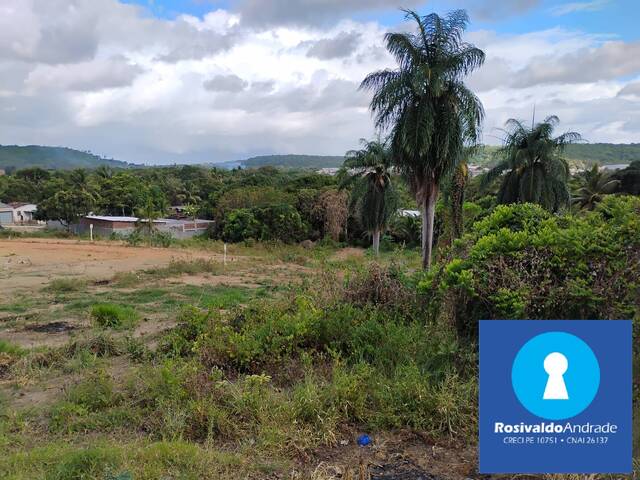 Terreno para Venda em Abreu e Lima - 4