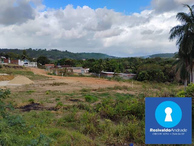 Terreno para Venda em Abreu e Lima - 5
